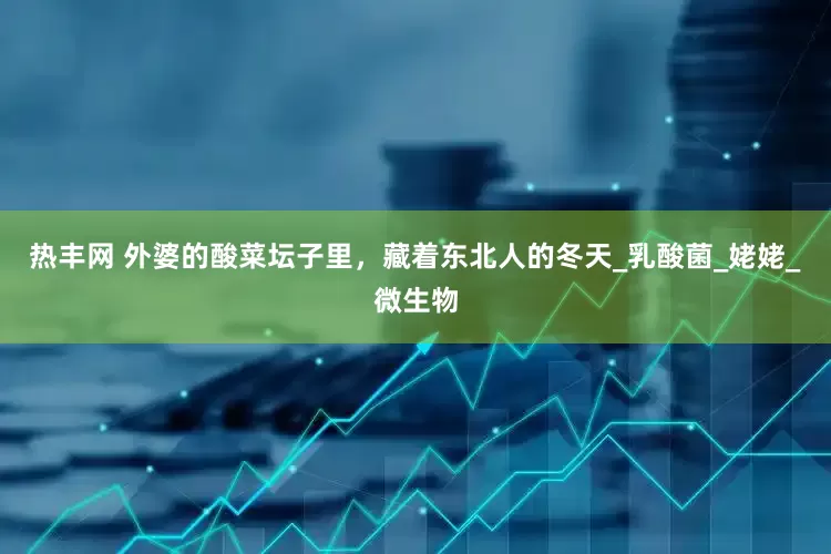 热丰网 外婆的酸菜坛子里，藏着东北人的冬天_乳酸菌_姥姥_微生物