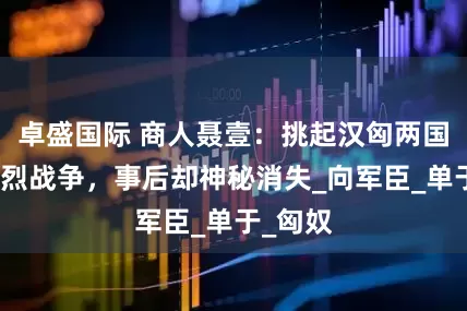 卓盛国际 商人聂壹：挑起汉匈两国百年惨烈战争，事后却神秘消失_向军臣_单于_匈奴