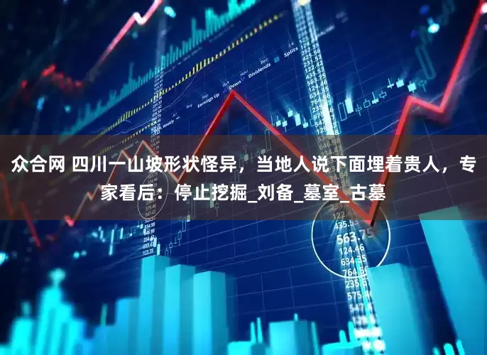 众合网 四川一山坡形状怪异，当地人说下面埋着贵人，专家看后：停止挖掘_刘备_墓室_古墓