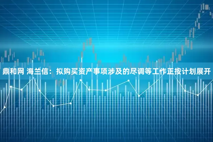 鼎和网 海兰信：拟购买资产事项涉及的尽调等工作正按计划展开