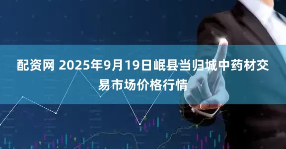 配资网 2025年9月19日岷县当归城中药材交易市场价格行情